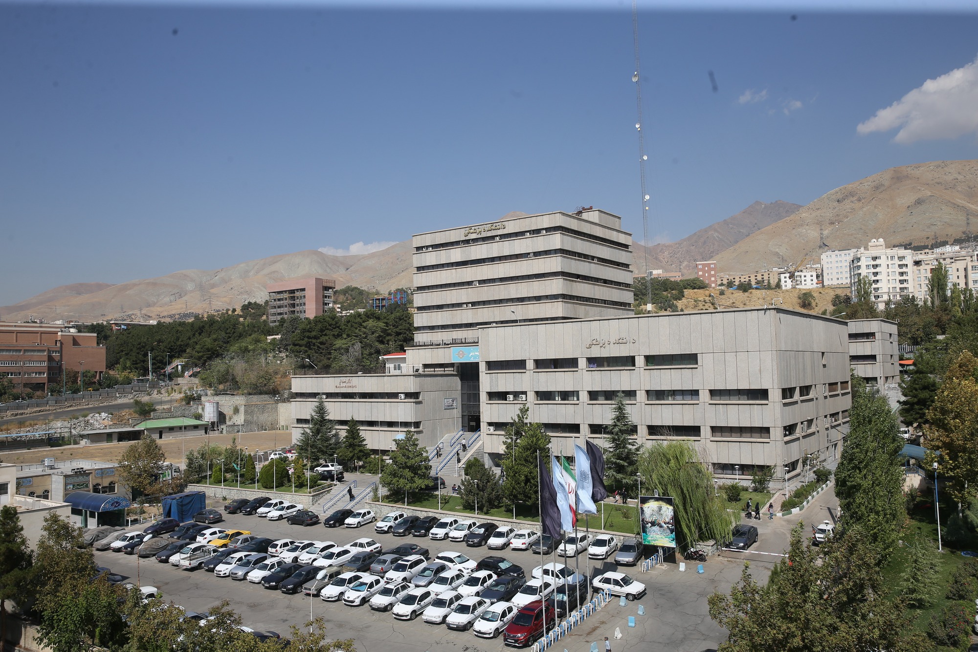 Scholl of medicine